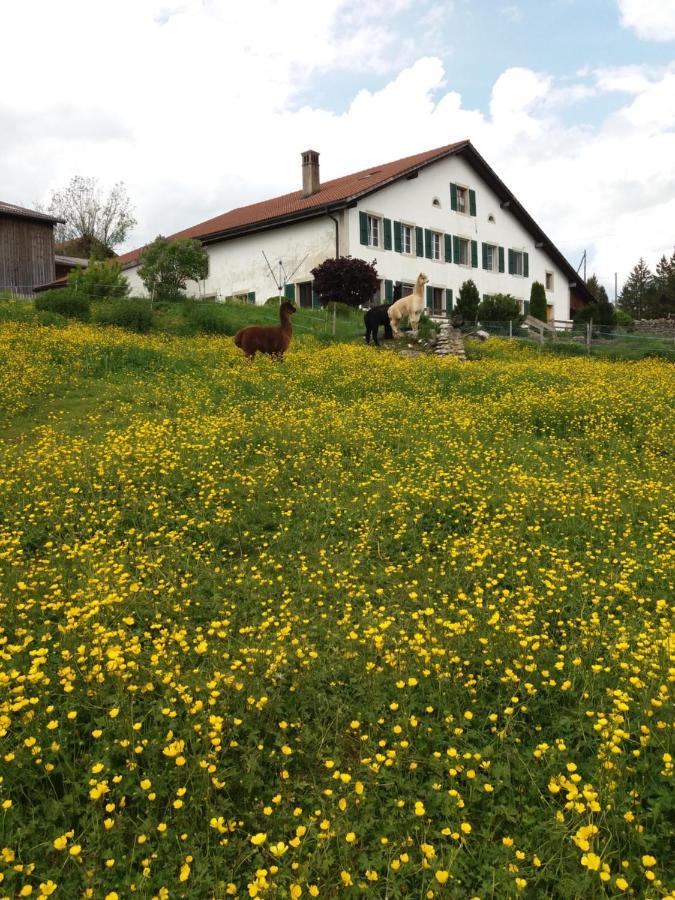 Appartamento Ferme O'Clés Le Peuchapatte Esterno foto